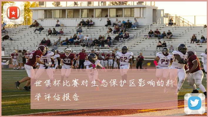 世俱杯比赛对生态保护区影响的科学评估报告