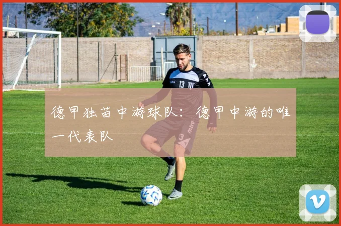 德甲独苗中游球队:德甲中游的唯一代表队
