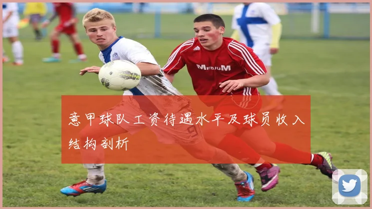 意甲球队工资待遇水平及球员收入结构剖析